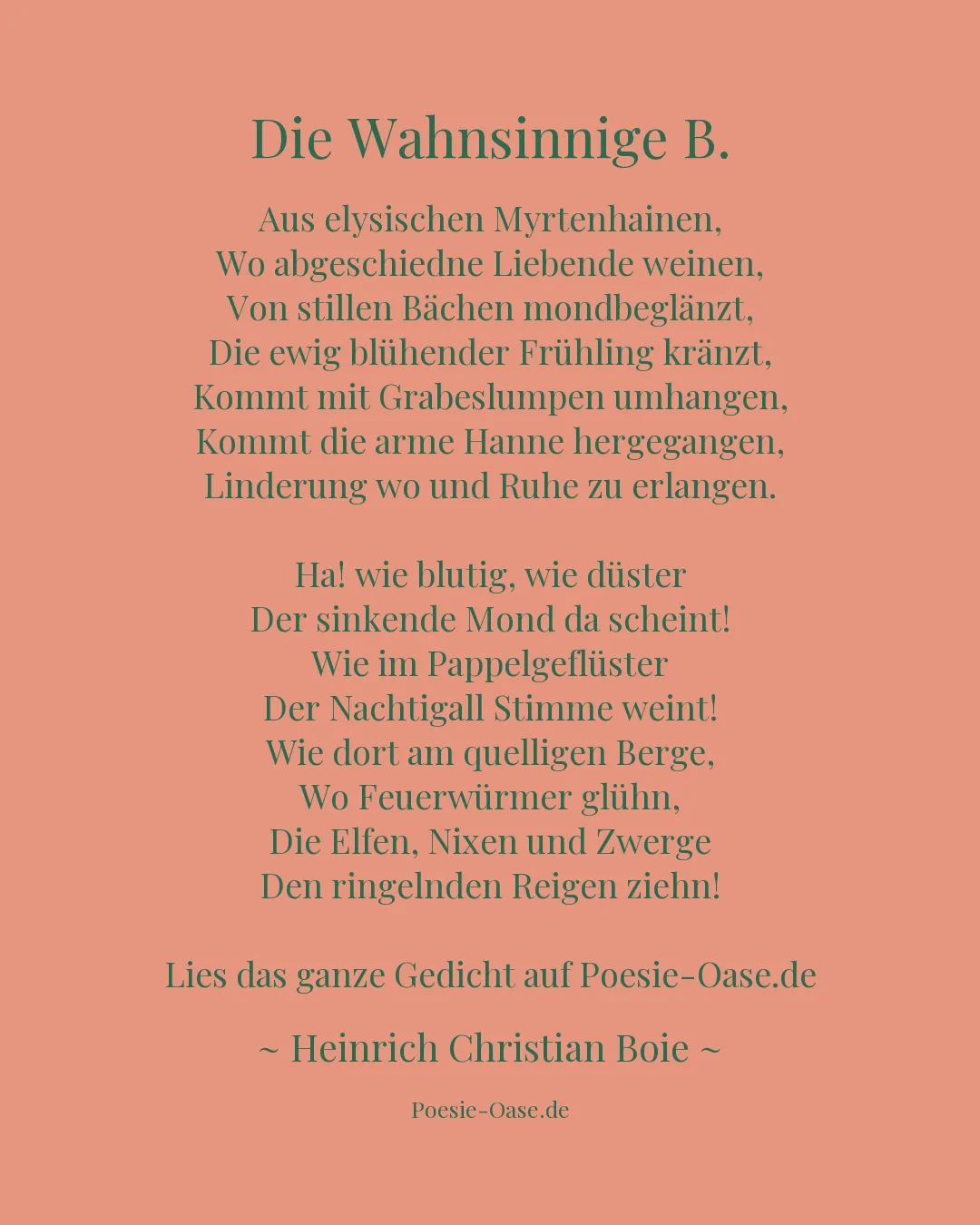 Illustration zu Die Wahnsinnige B.