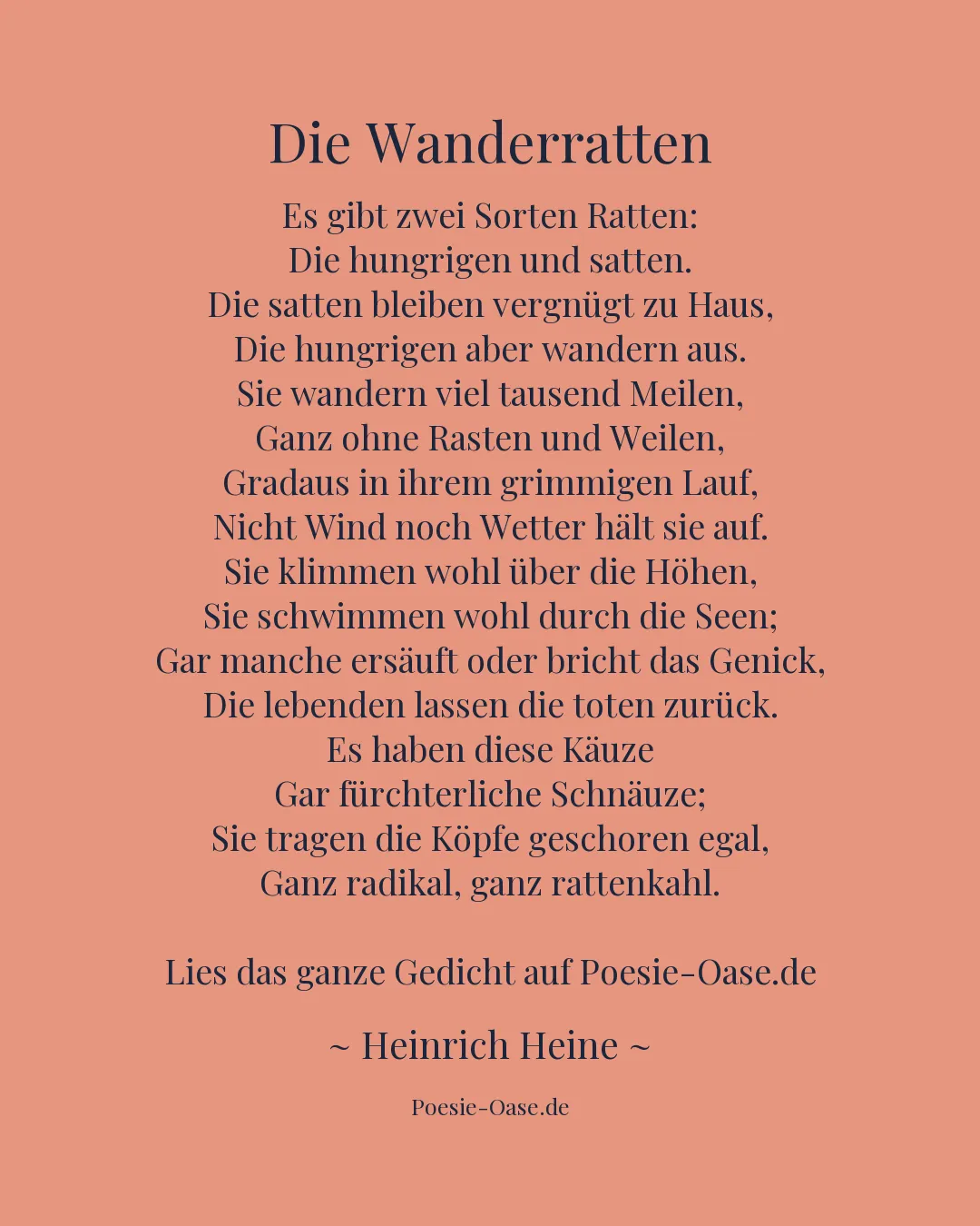 Illustration zu Die Wanderratten