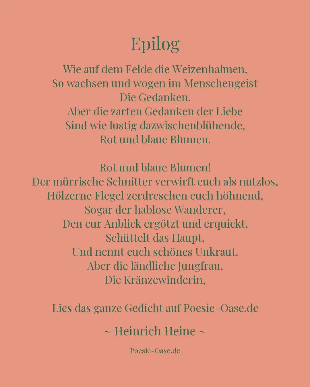 Illustration zu Epilog