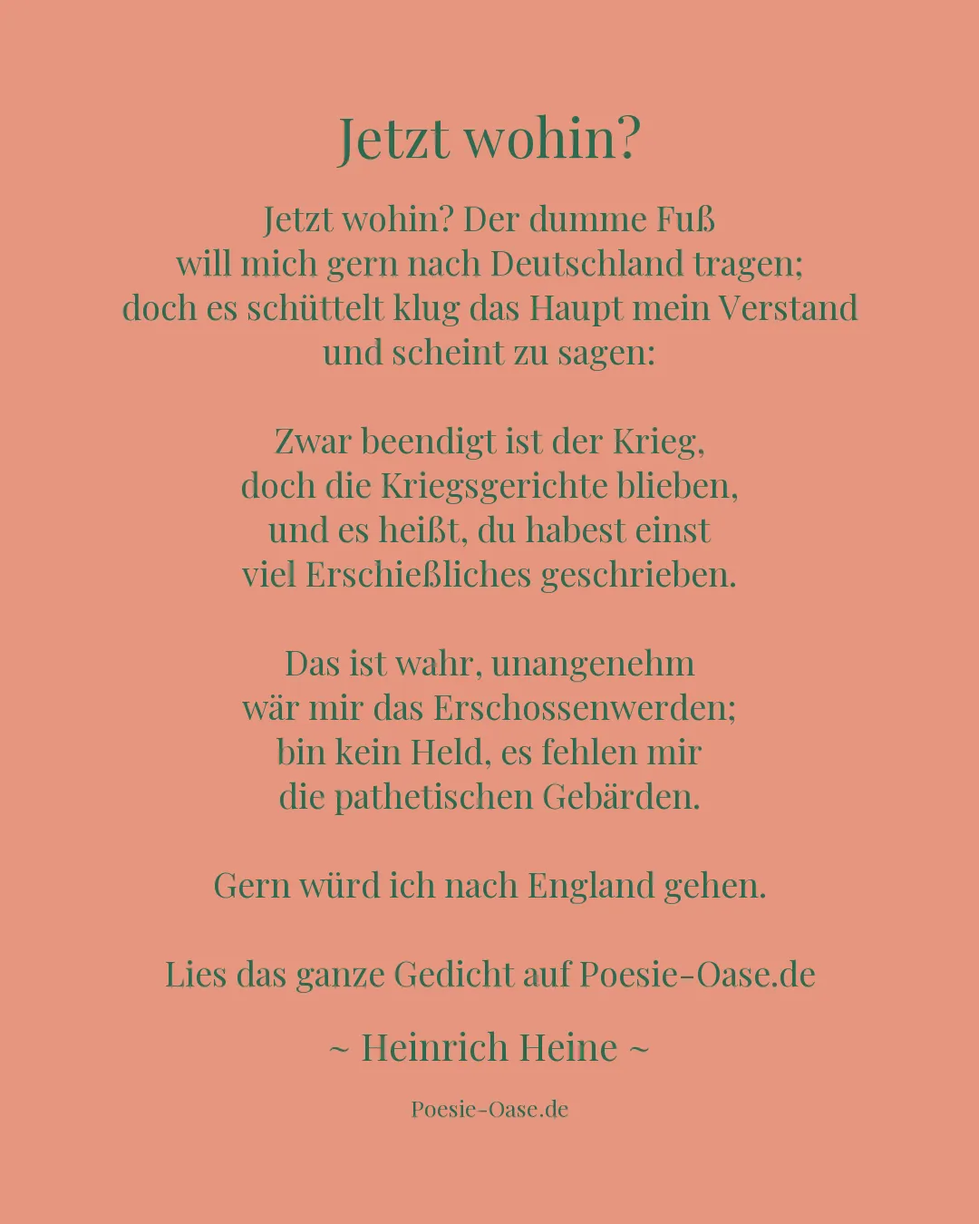 Illustration zu Jetzt wohin?