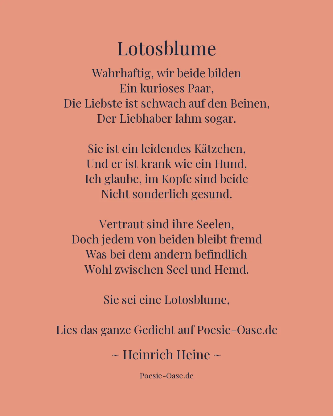 Illustration zu Lotosblume