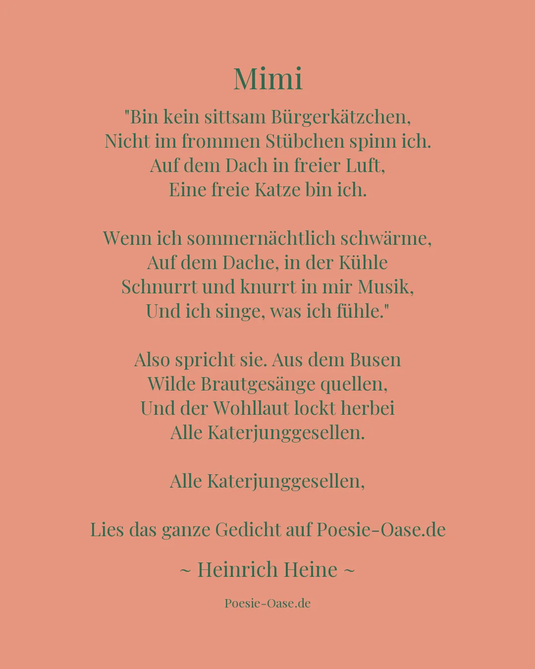 Illustration zu Mimi
