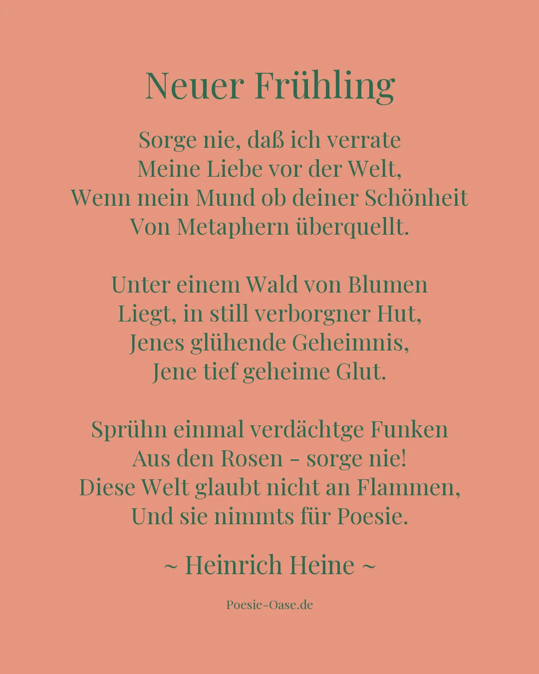 Illustration zu Neuer Frühling
