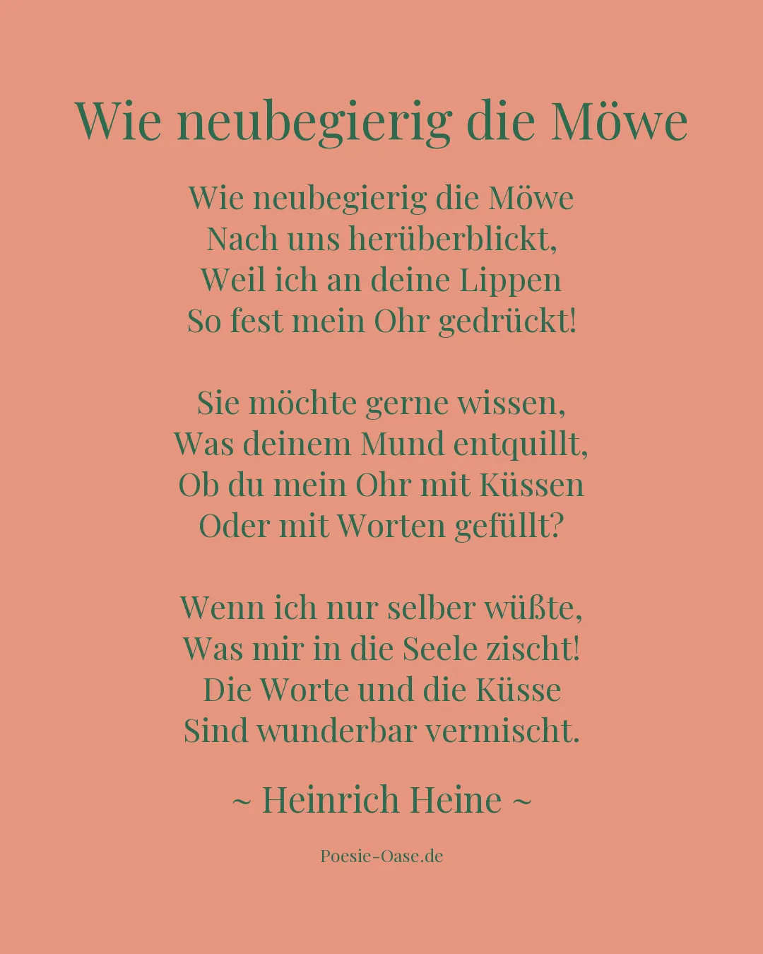 Illustration zu Wie neubegierig die Möwe