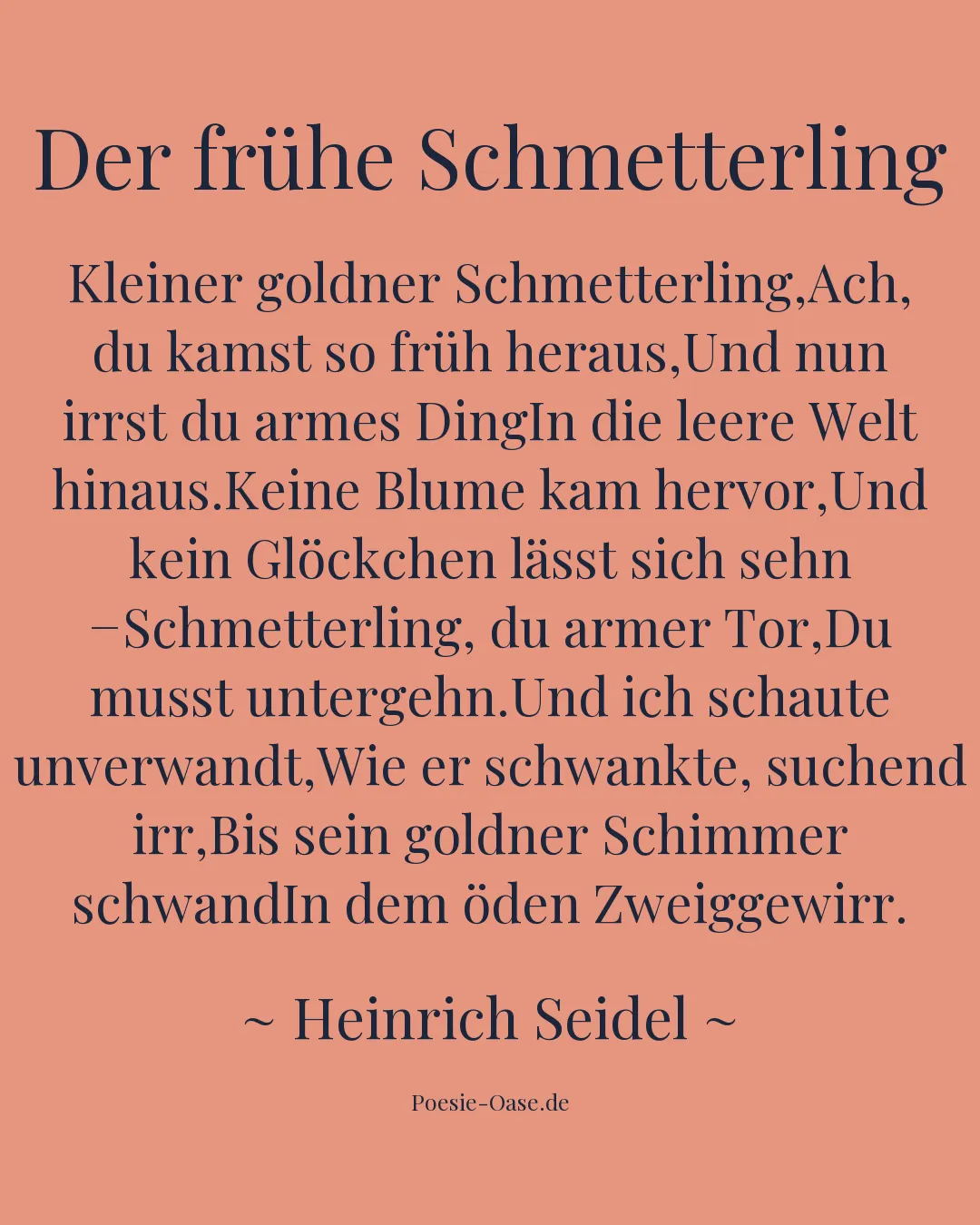 Illustration zu Der frühe Schmetterling