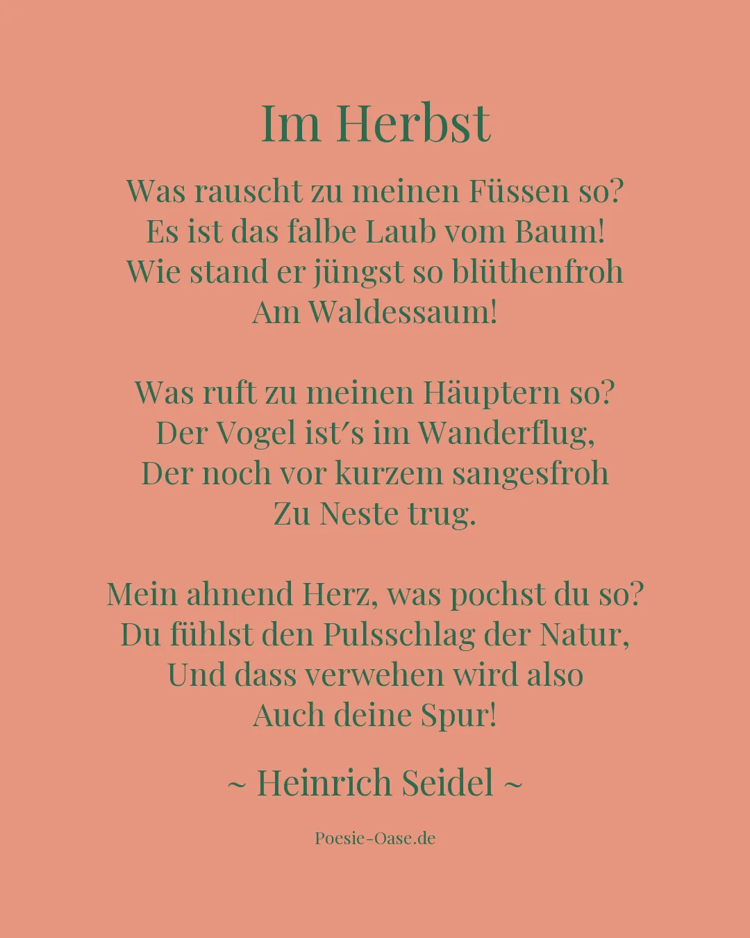 Illustration zu Im Herbst