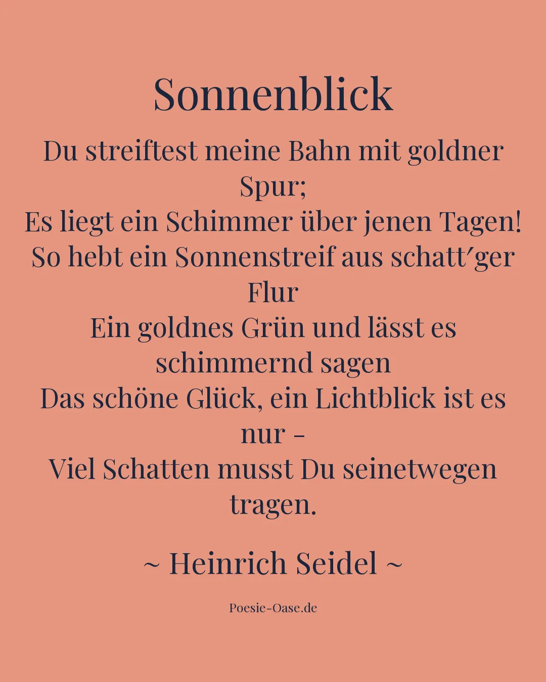 Illustration zu Sonnenblick