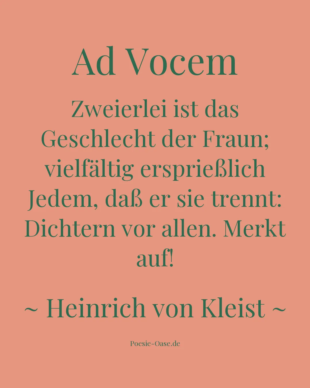 Illustration zu Ad Vocem