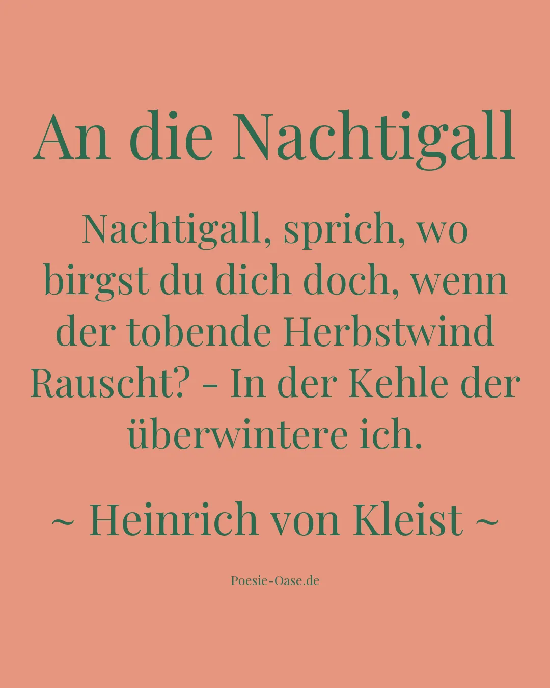 Illustration zu An die Nachtigall
