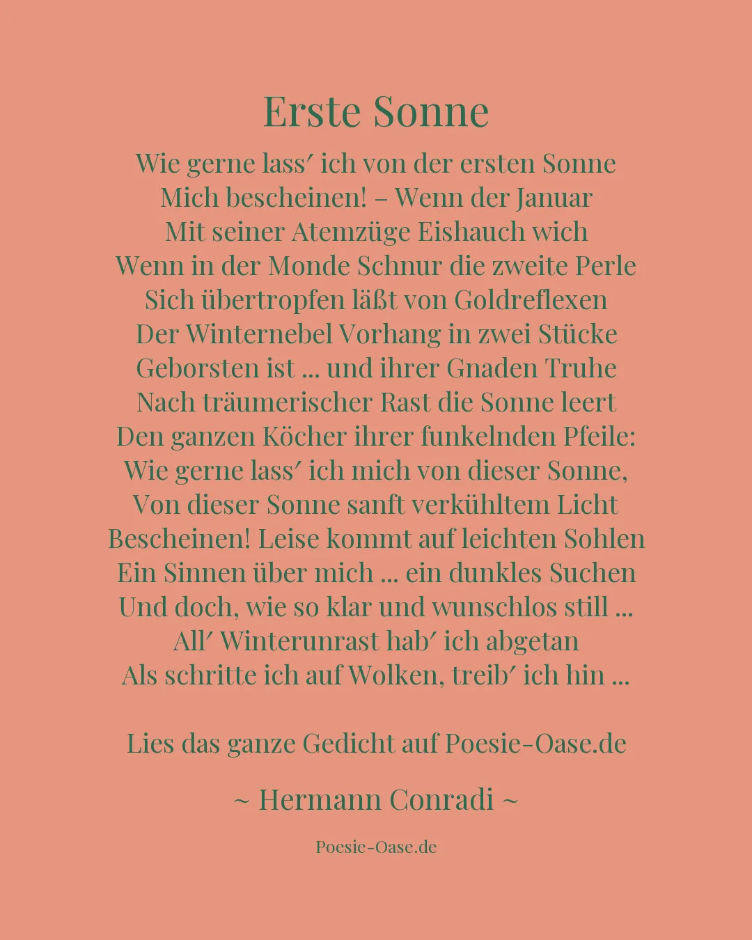 Illustration zu Erste Sonne