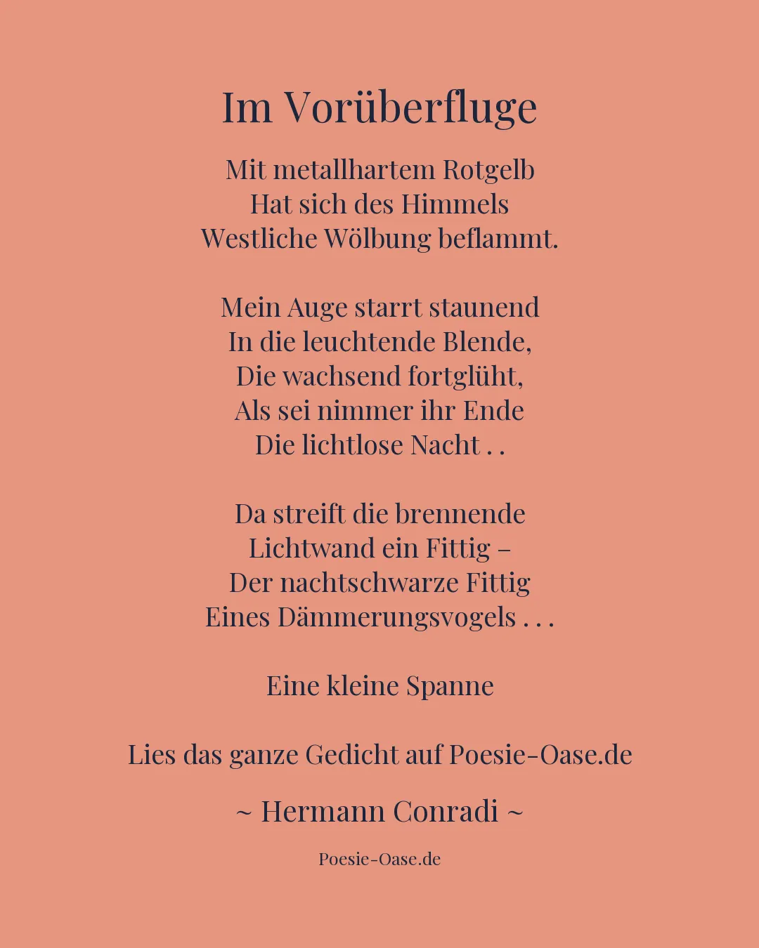 Illustration zu Im Vorüberfluge