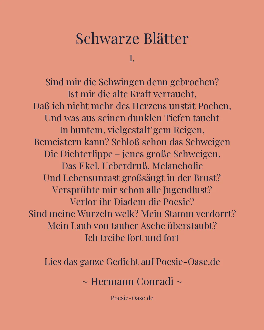 Illustration zu Schwarze Blätter