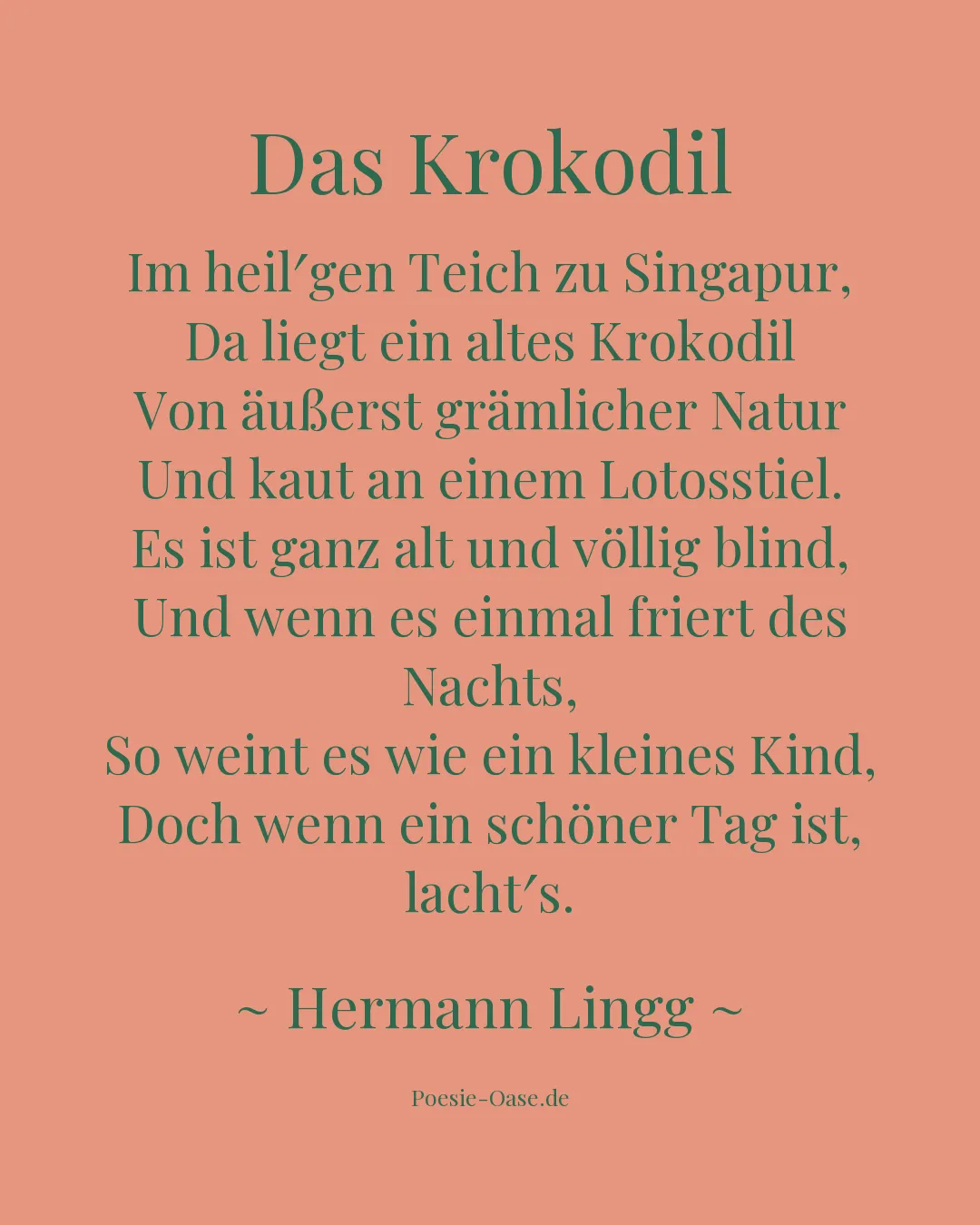 Illustration zu Das Krokodil