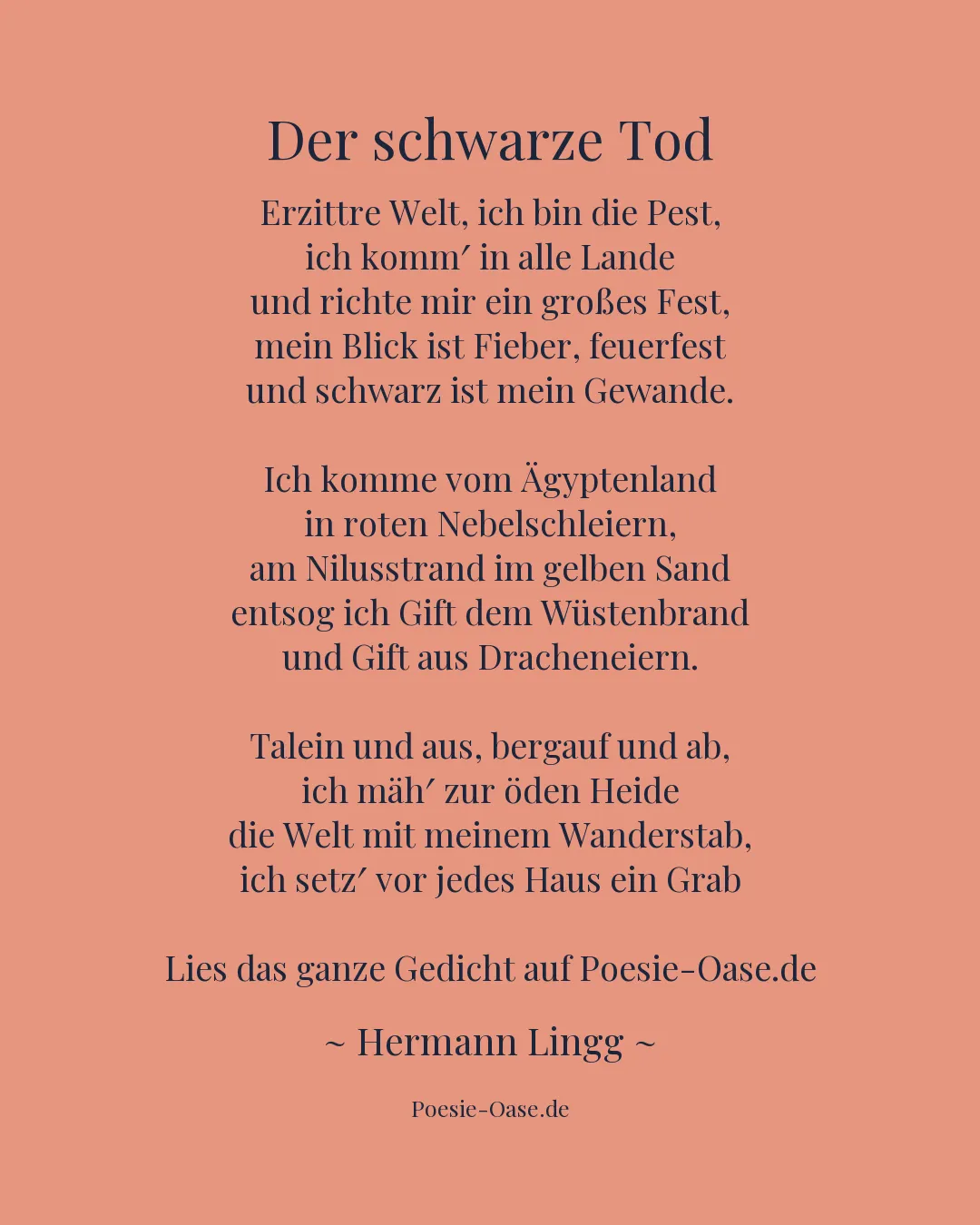 Illustration zu Der schwarze Tod