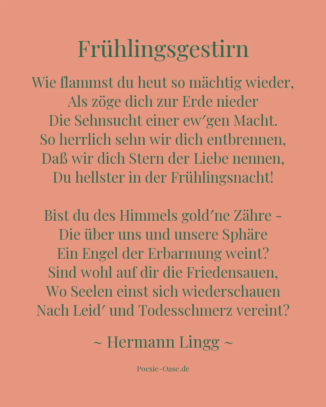 Illustration zu Frühlingsgestirn