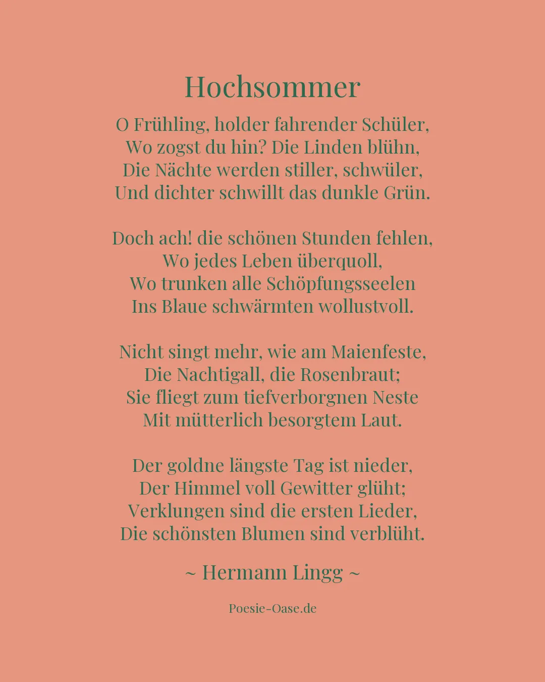 Illustration zu Hochsommer