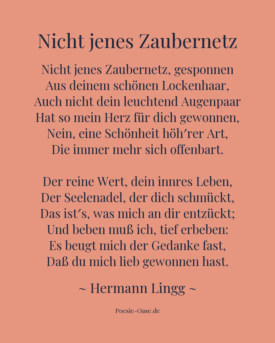 Illustration zu Nicht jenes Zaubernetz