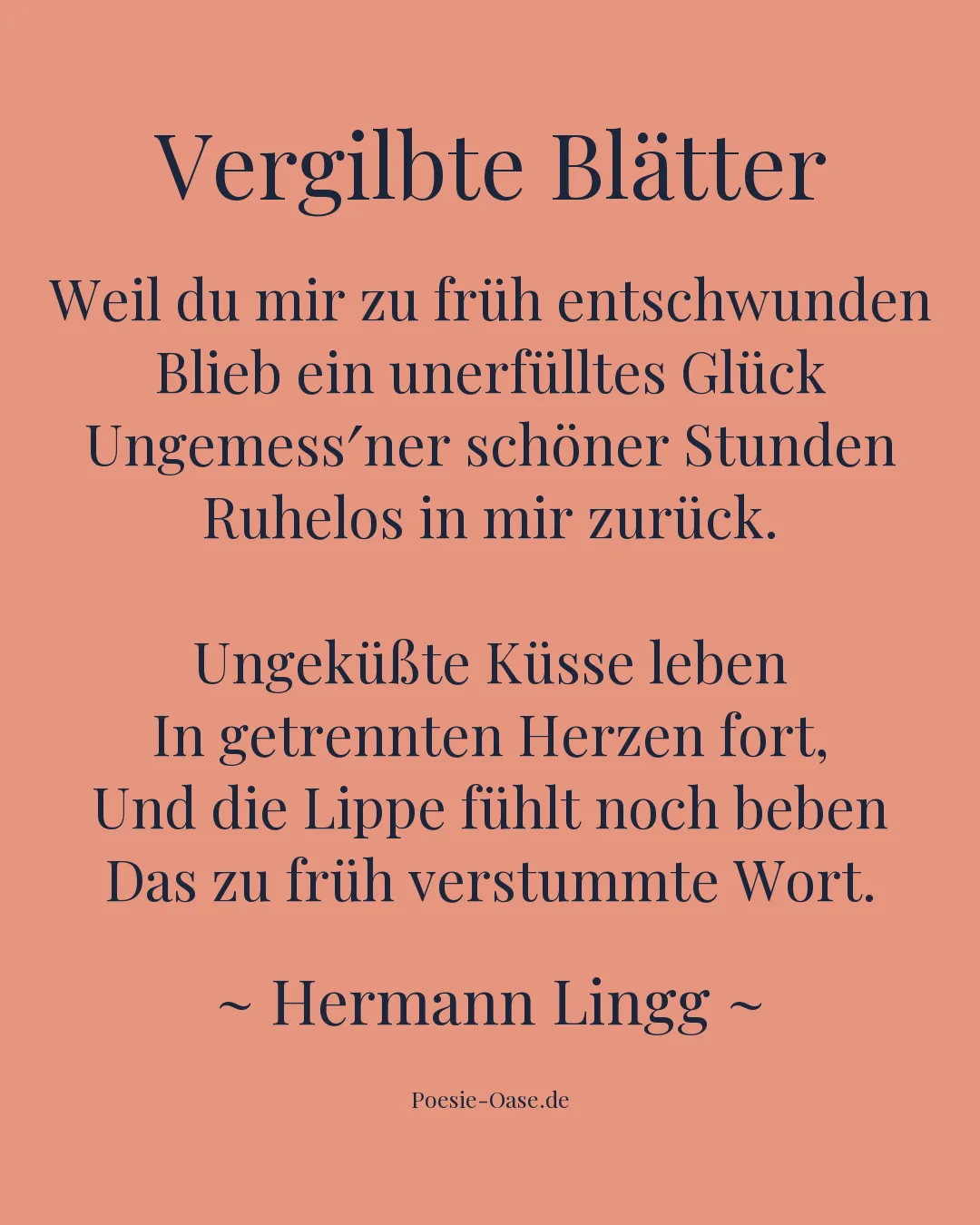 Illustration zu Vergilbte Blätter
