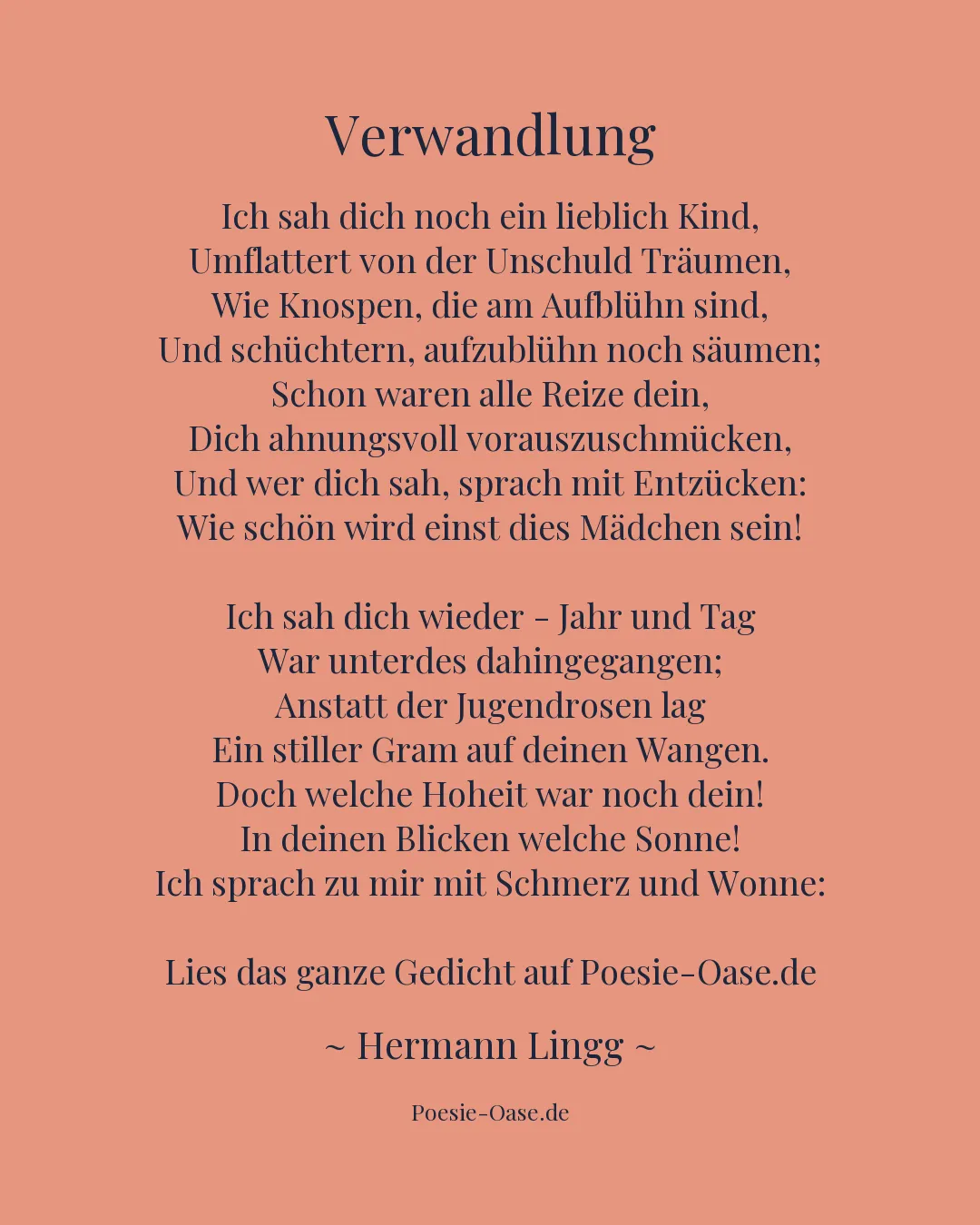 Illustration zu Verwandlung