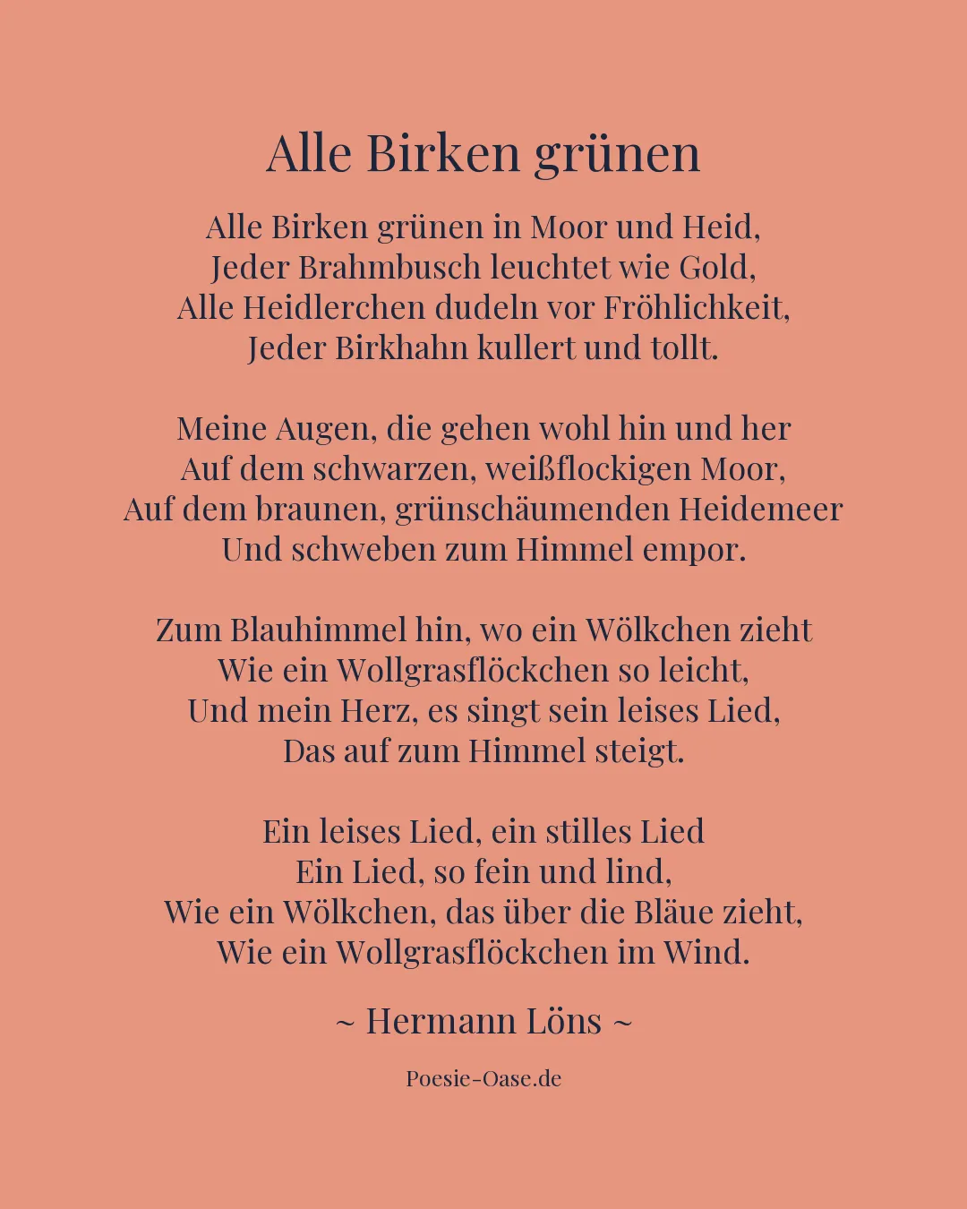 Illustration zu Alle Birken grünen