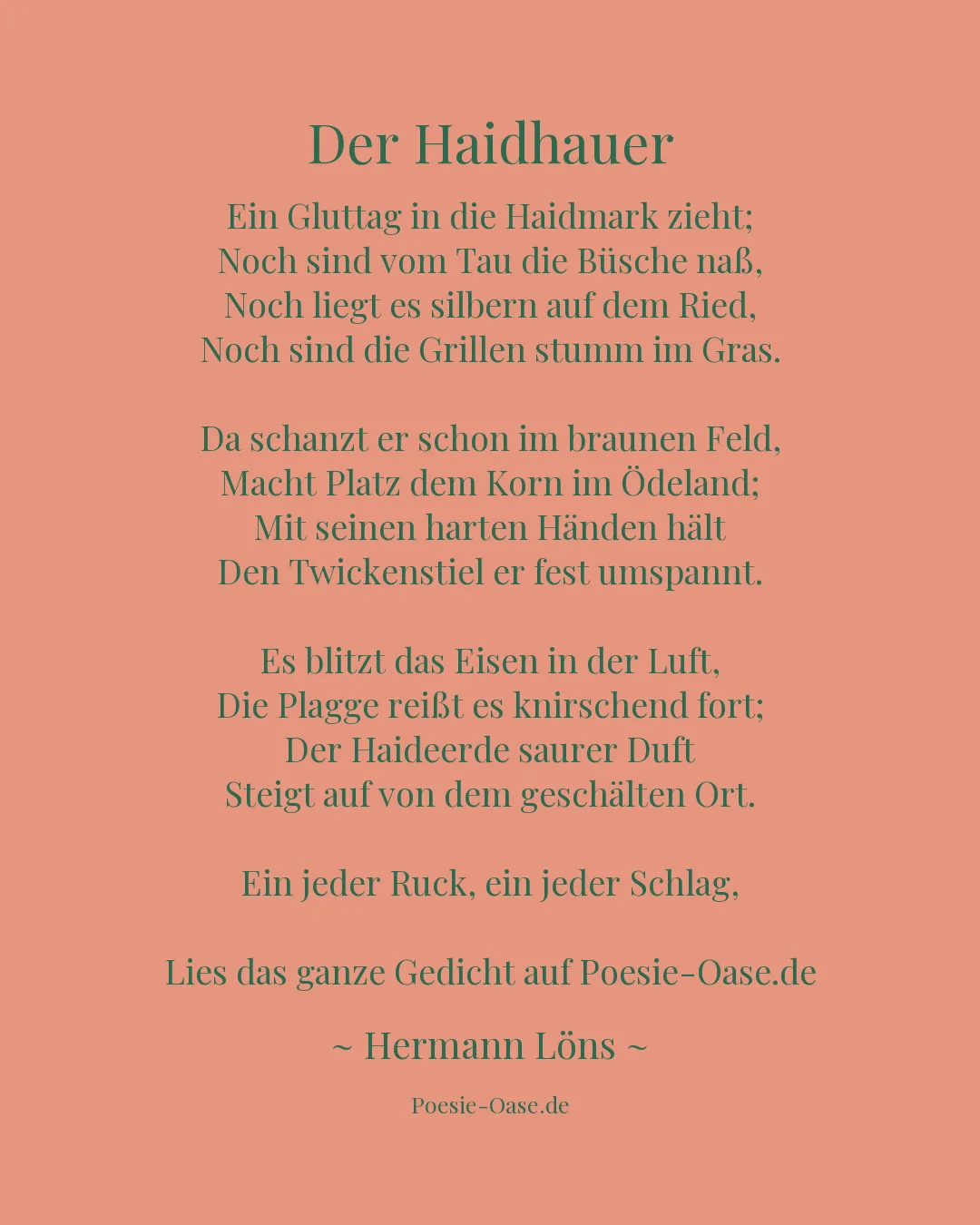 Illustration zu Der Haidhauer