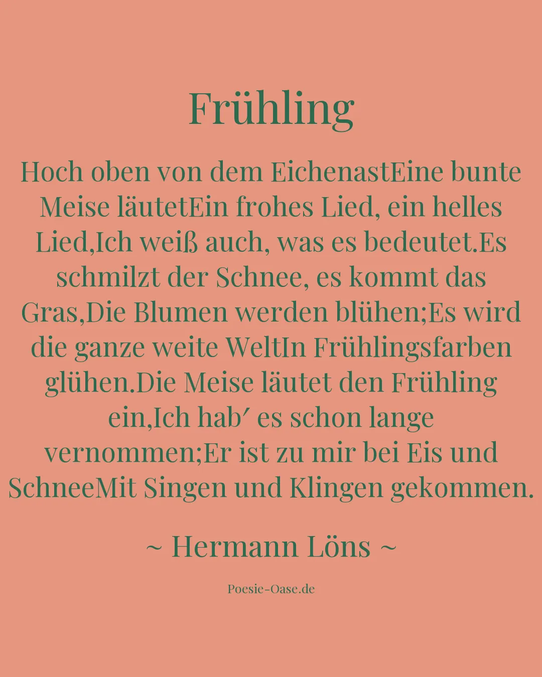 Illustration zu Frühling