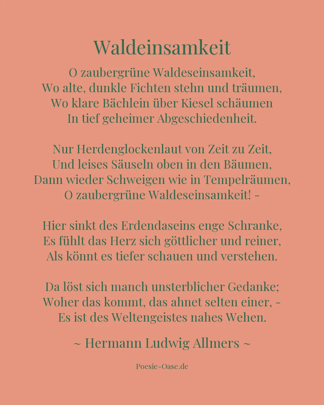 Illustration zu Waldeinsamkeit