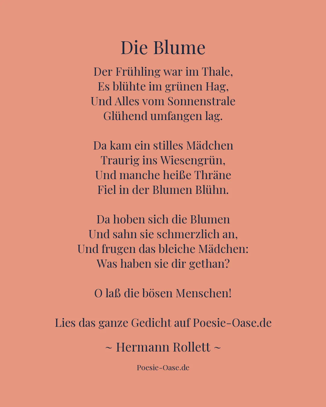 Illustration zu Die Blume