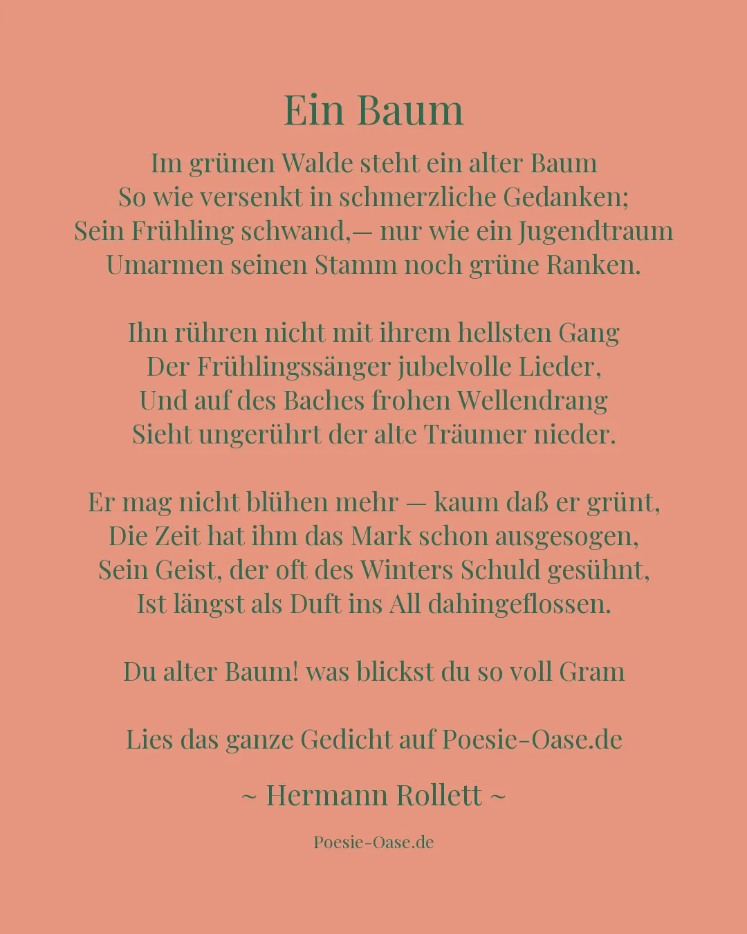 Illustration zu Ein Baum