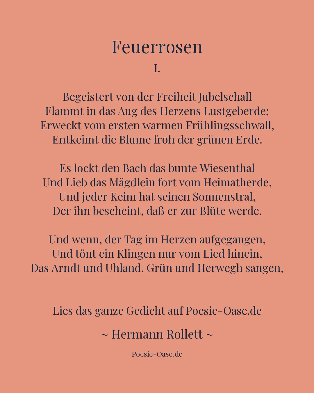 Illustration zu Feuerrosen