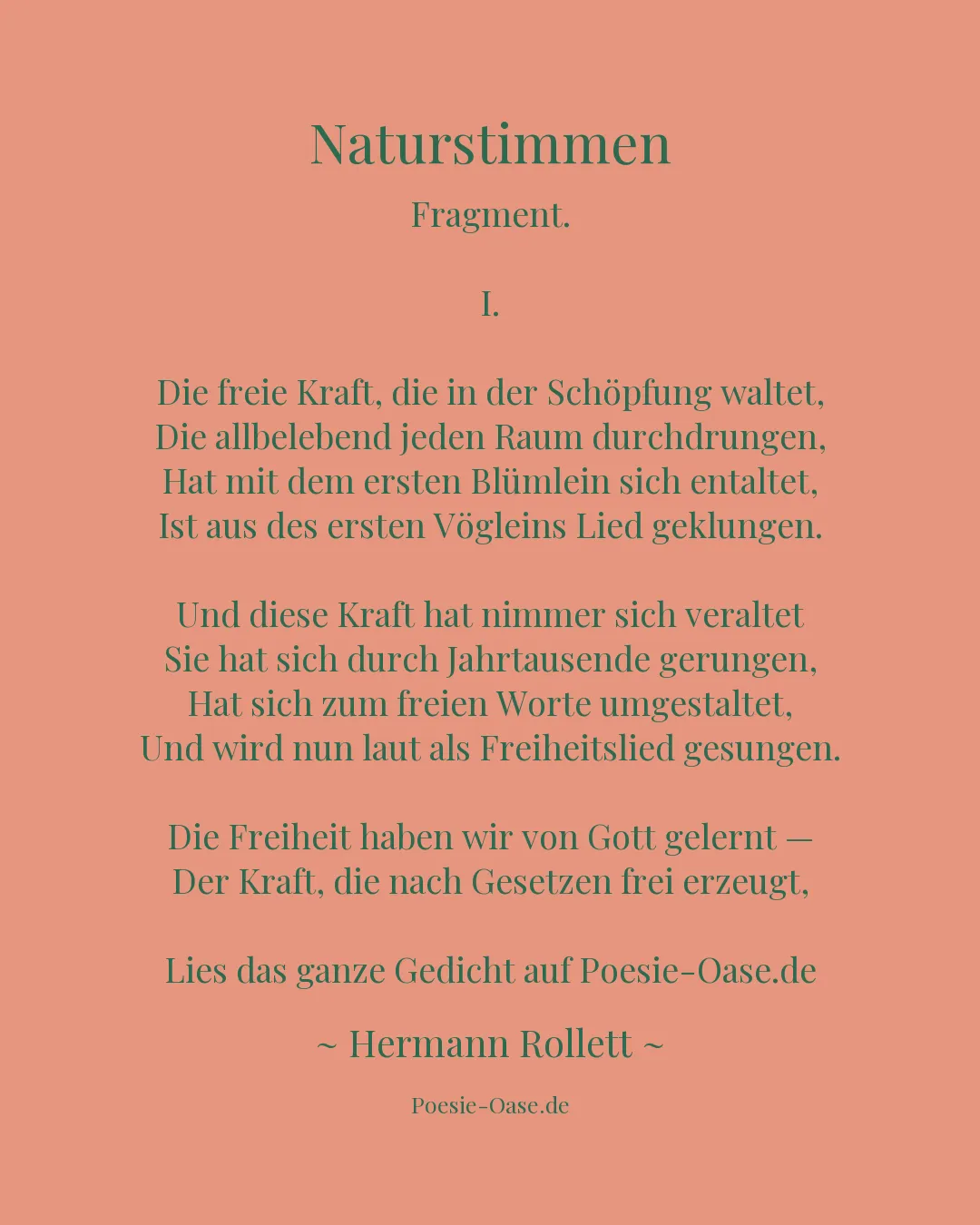 Illustration zu Naturstimmen