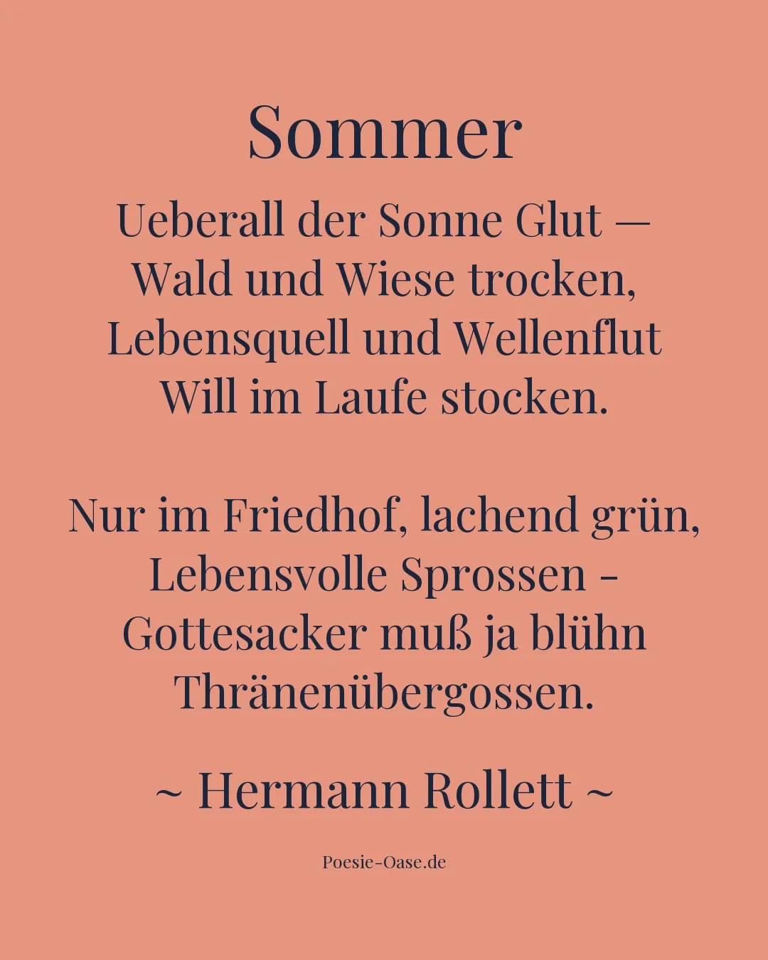 Illustration zu Sommer