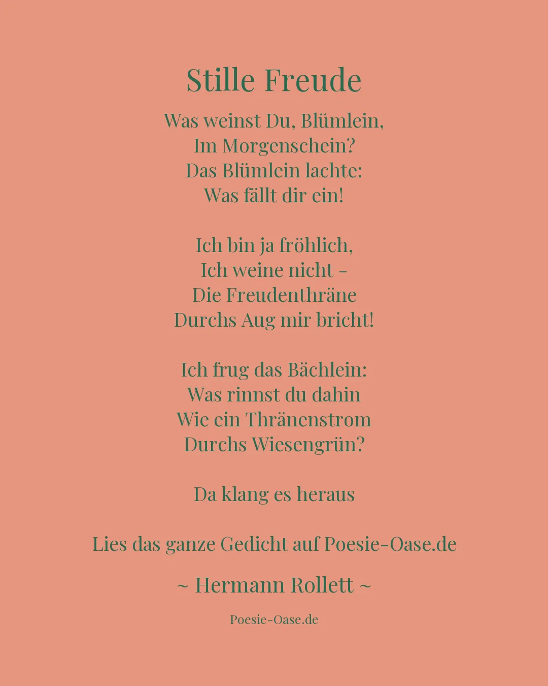 Illustration zu Stille Freude