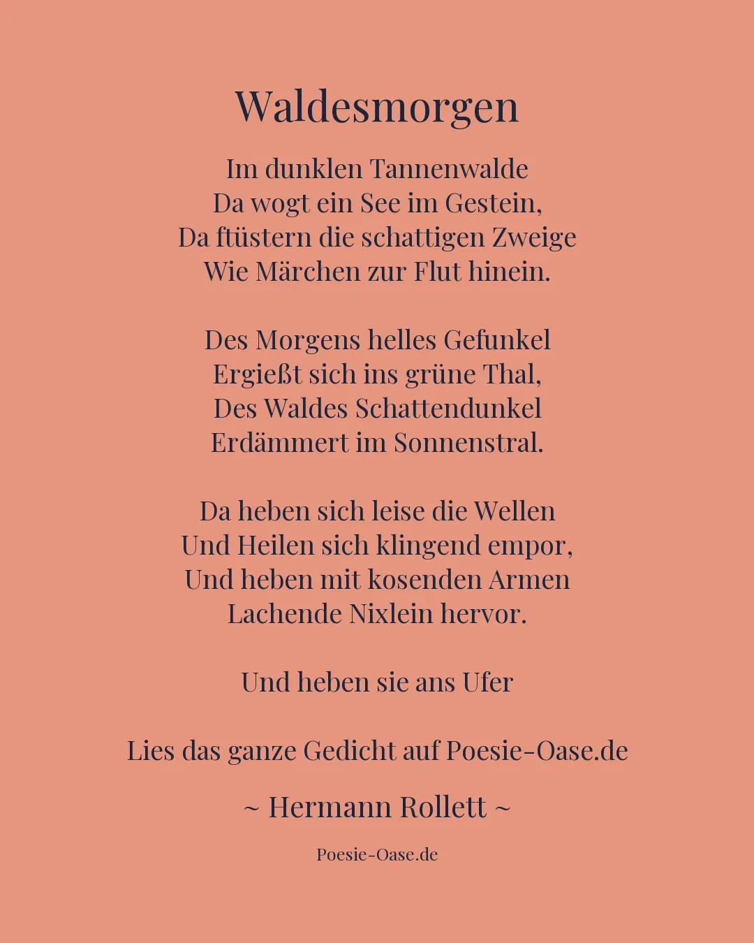 Illustration zu Waldesmorgen