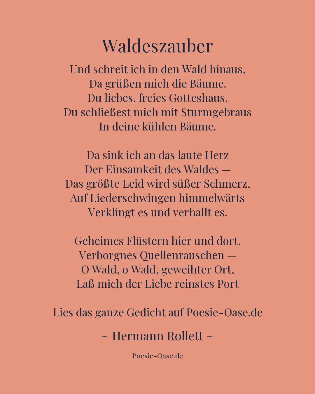 Illustration zu Waldeszauber