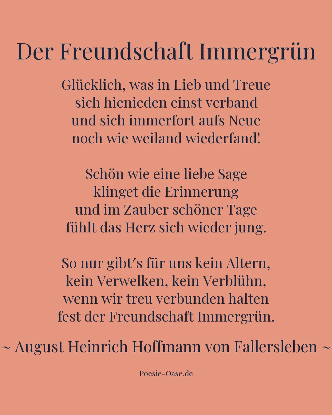 Illustration zu Der Freundschaft Immergrün