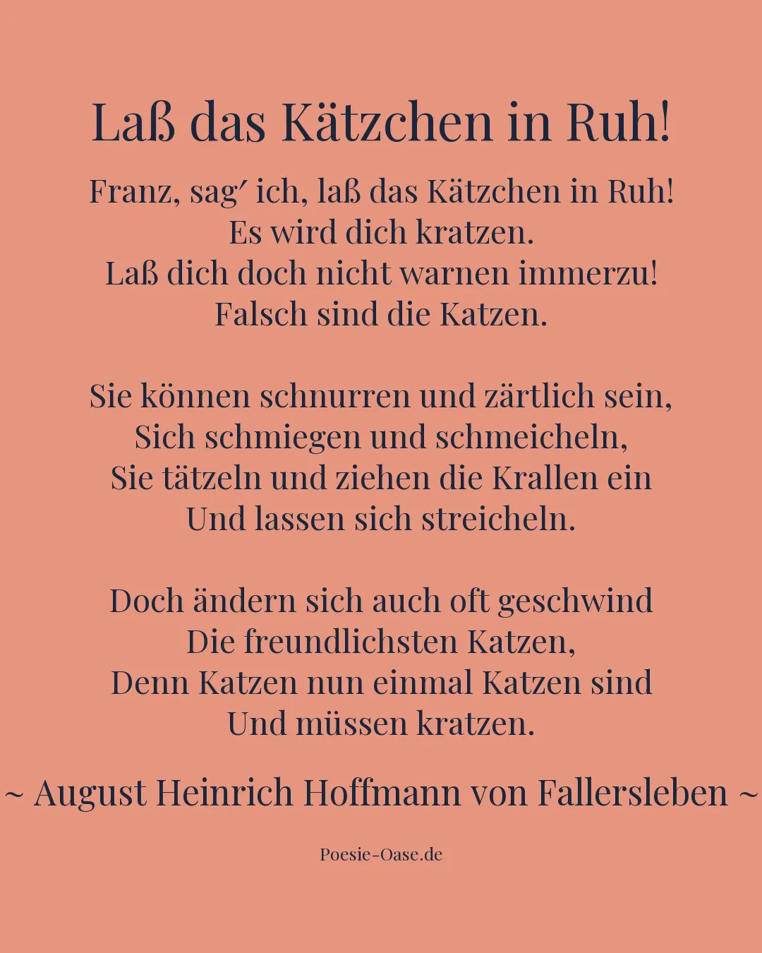 Illustration zu Laß das Kätzchen in Ruh!