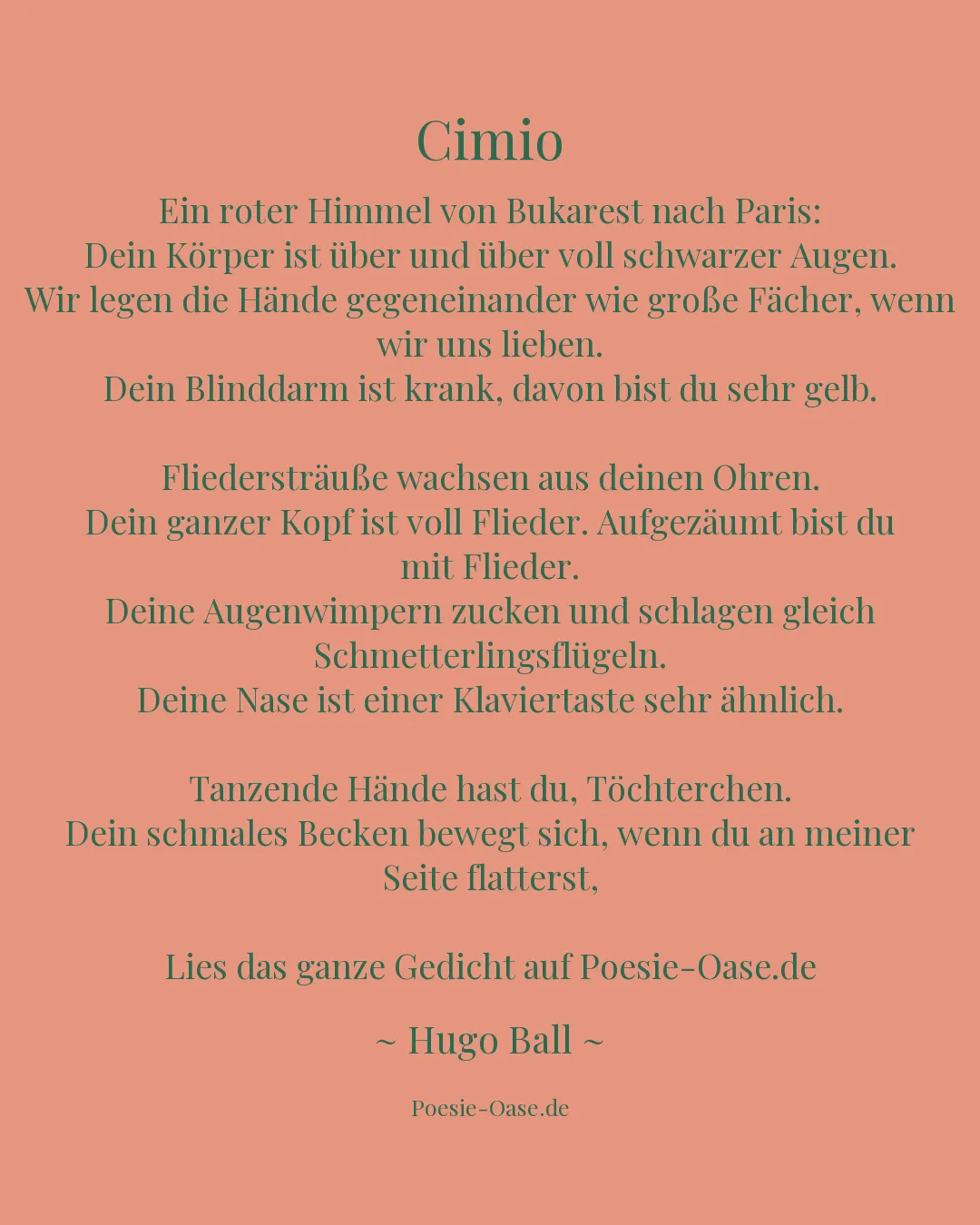 Illustration zu Cimio