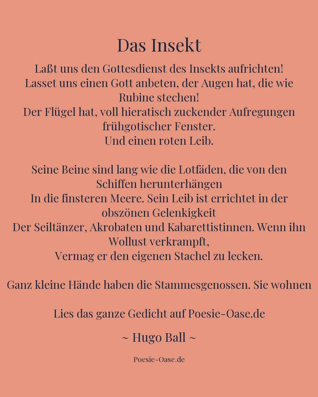 Illustration zu Das Insekt