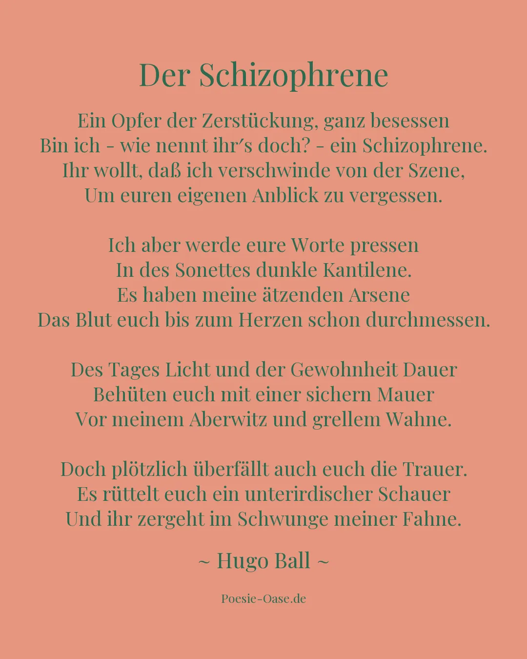 Illustration zu Der Schizophrene