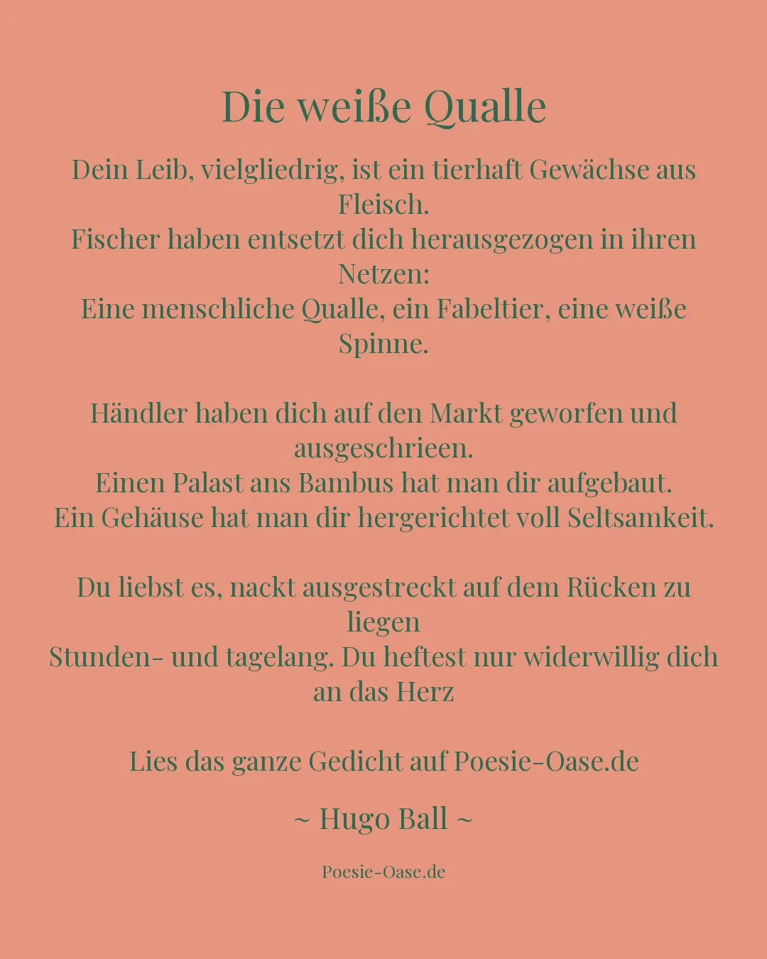 Illustration zu Die weiße Qualle