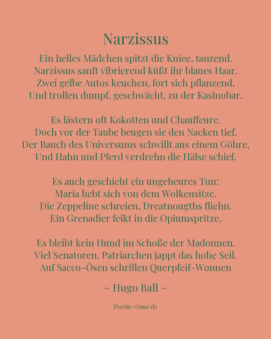 Illustration zu Narzissus