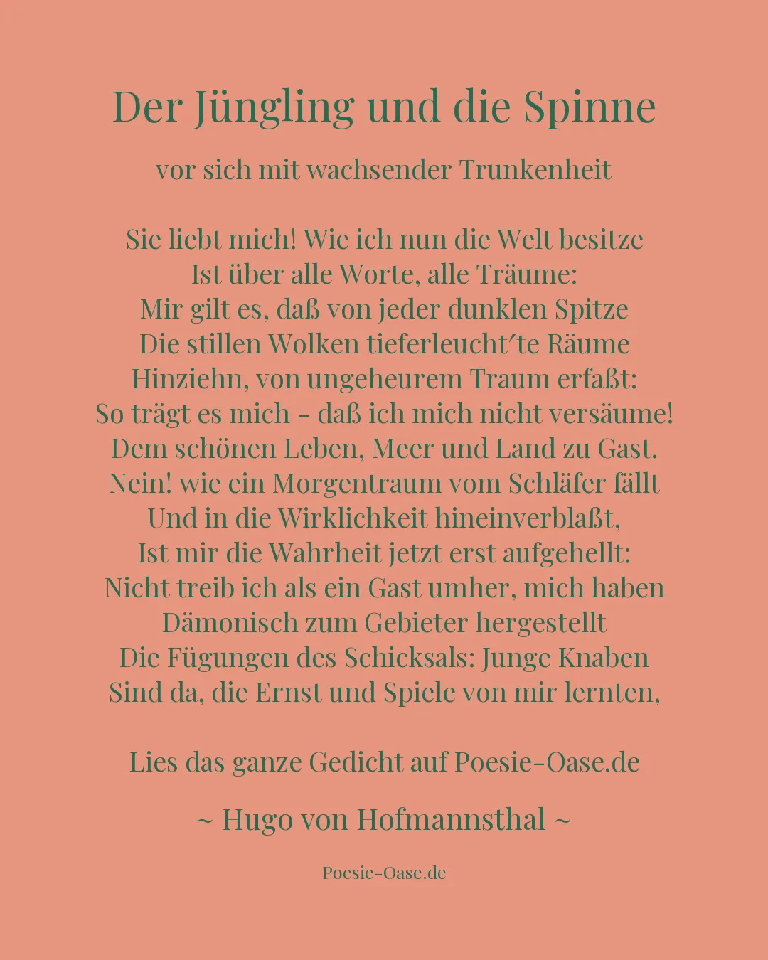 Illustration zu Der Jüngling und die Spinne