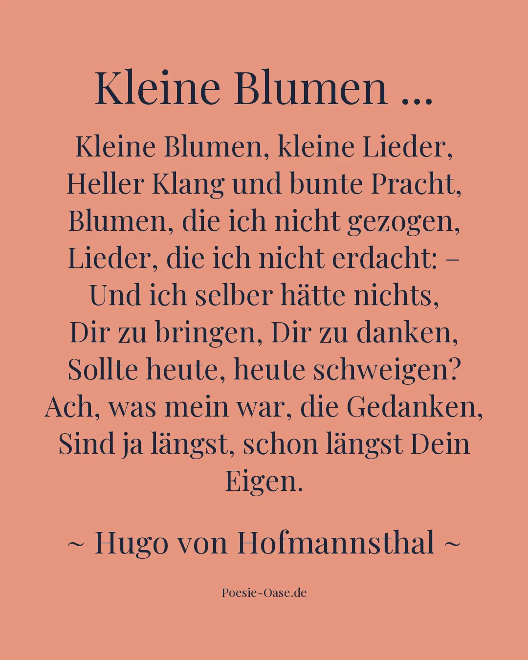 Illustration zu Kleine Blumen ...