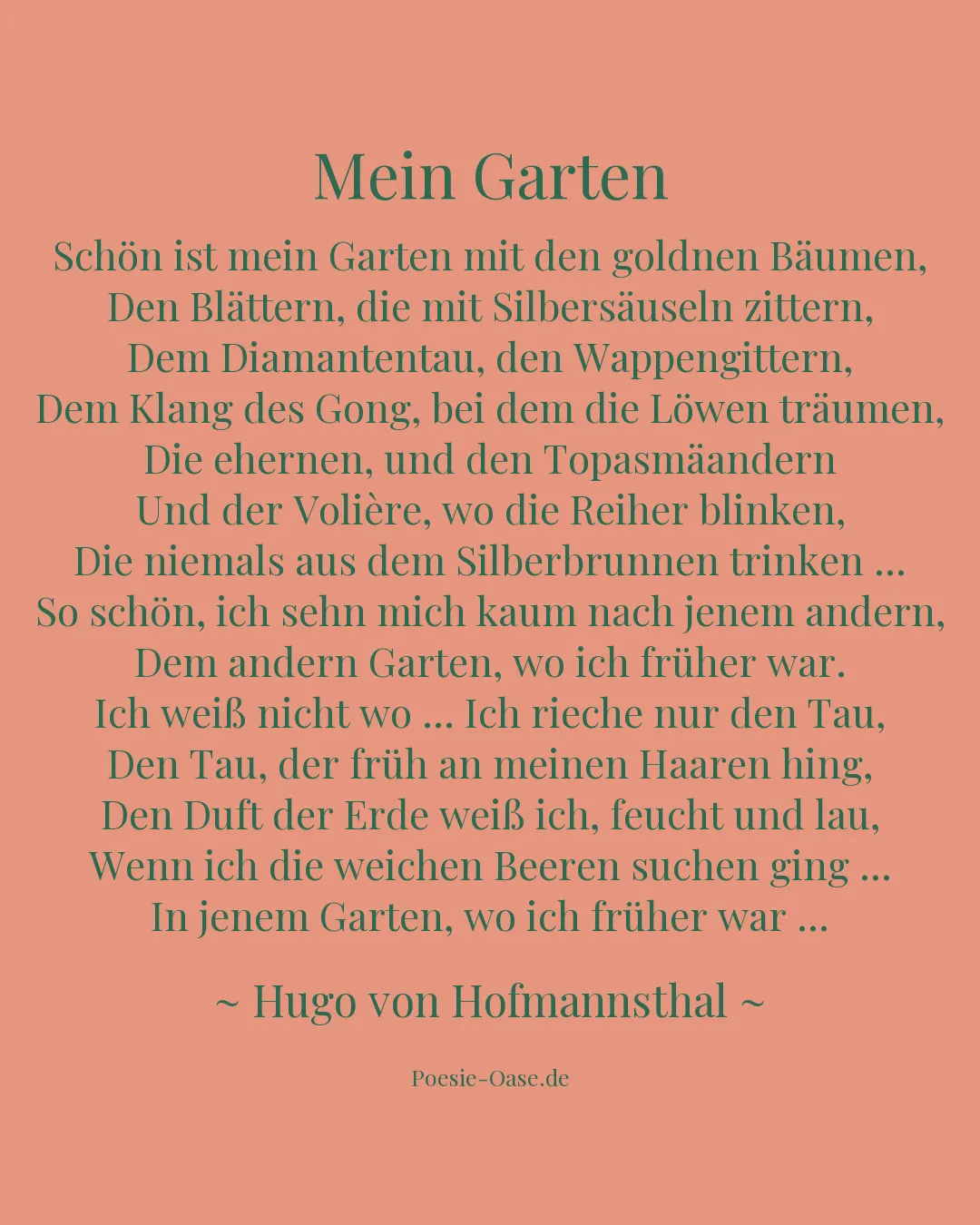 Illustration zu Mein Garten