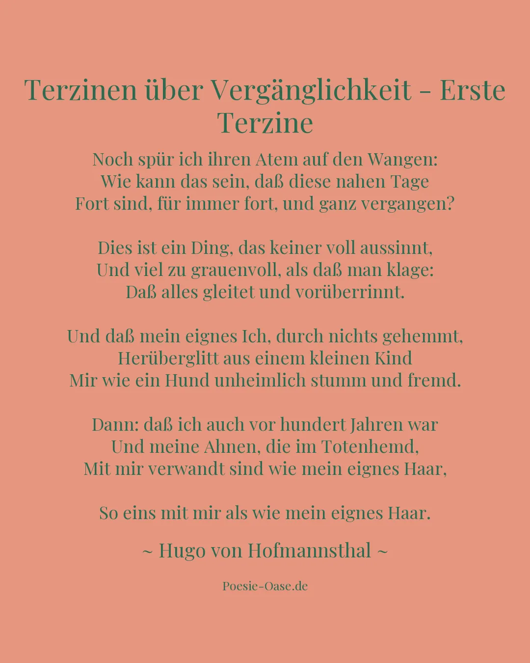 Illustration zu Terzinen über Vergänglichkeit - Erste Terzine