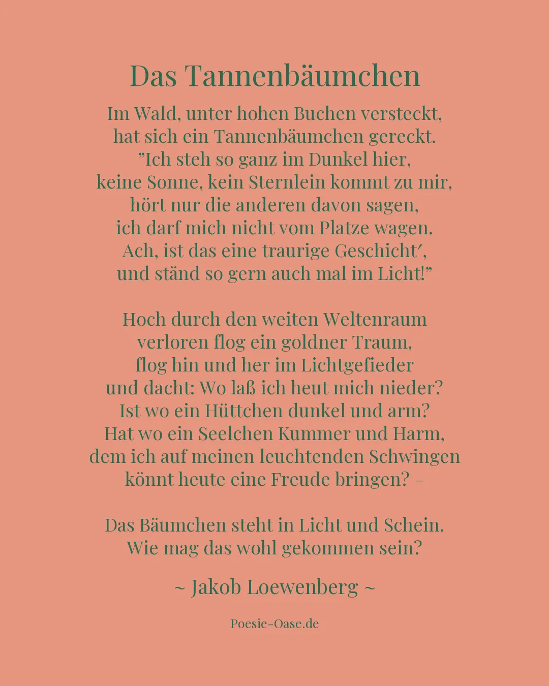Illustration zu Das Tannenbäumchen