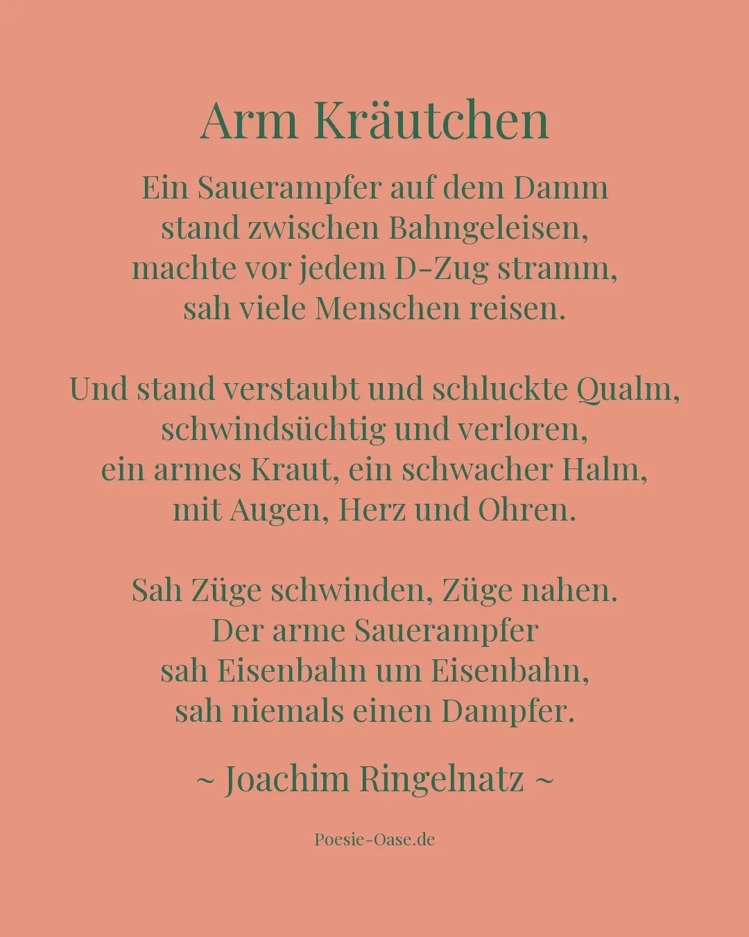 Illustration zu Arm Kräutchen
