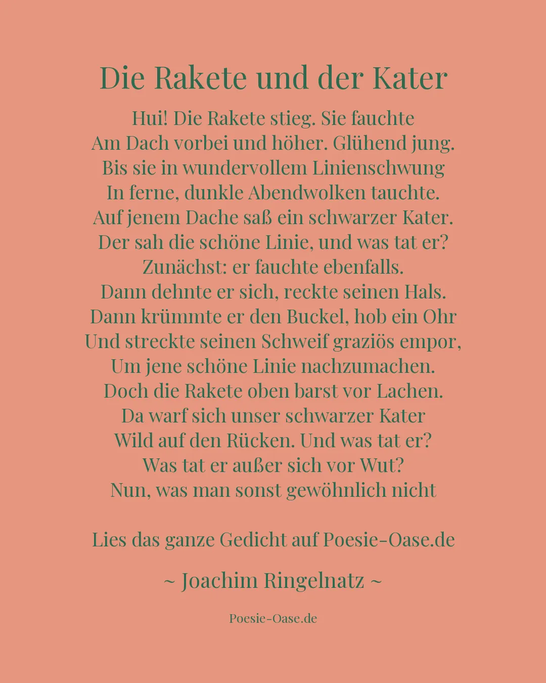 Illustration zu Die Rakete und der Kater