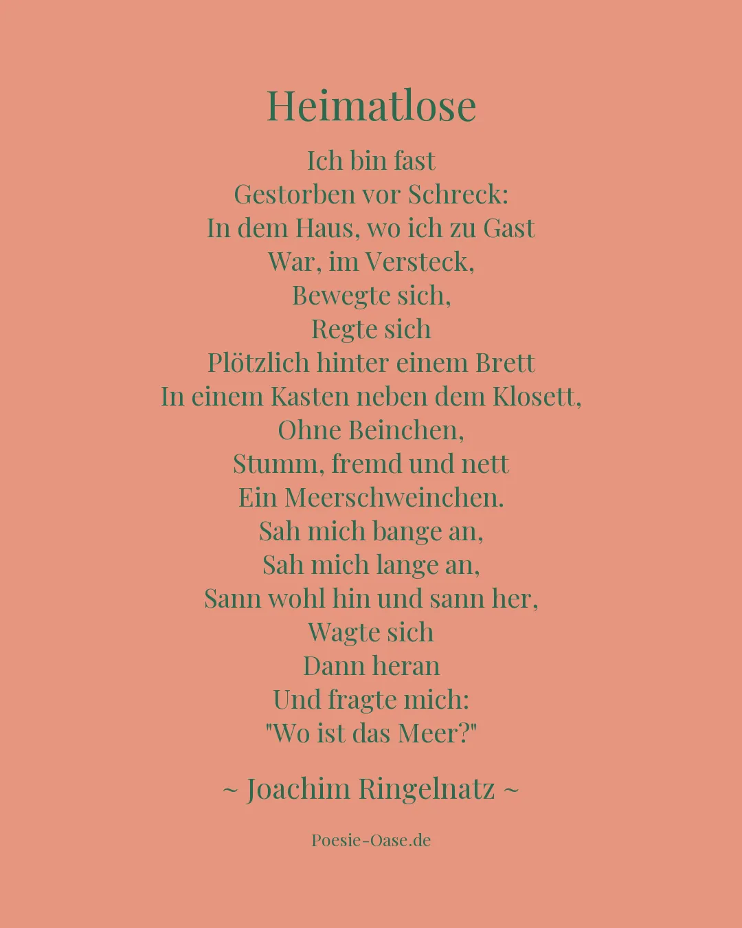 Illustration zu Heimatlose